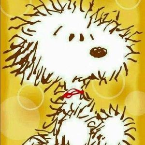 Meet your Posher, Jill